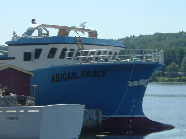 workshops021009.jpg